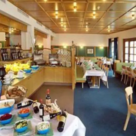 ホテル アルプホテル 4*