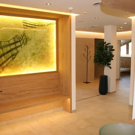 Alphotel 4* אינסברוק