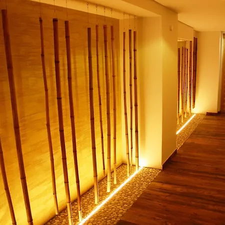 Alphotel 4* אינסברוק